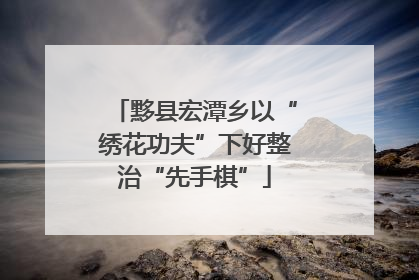 黟县宏潭乡以“绣花功夫”下好整治“先手棋”
